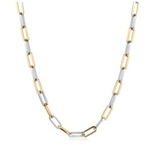 24” Gold and Stainless Steel Chain